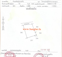 T00304